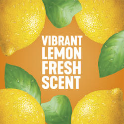 Pine Sol Lemon