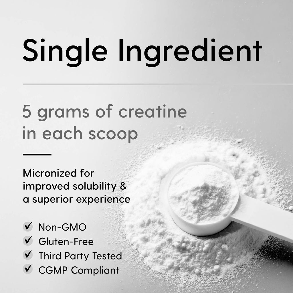 Creatine Monohydrate Powder Unflavored - 17.6 oz (500g)