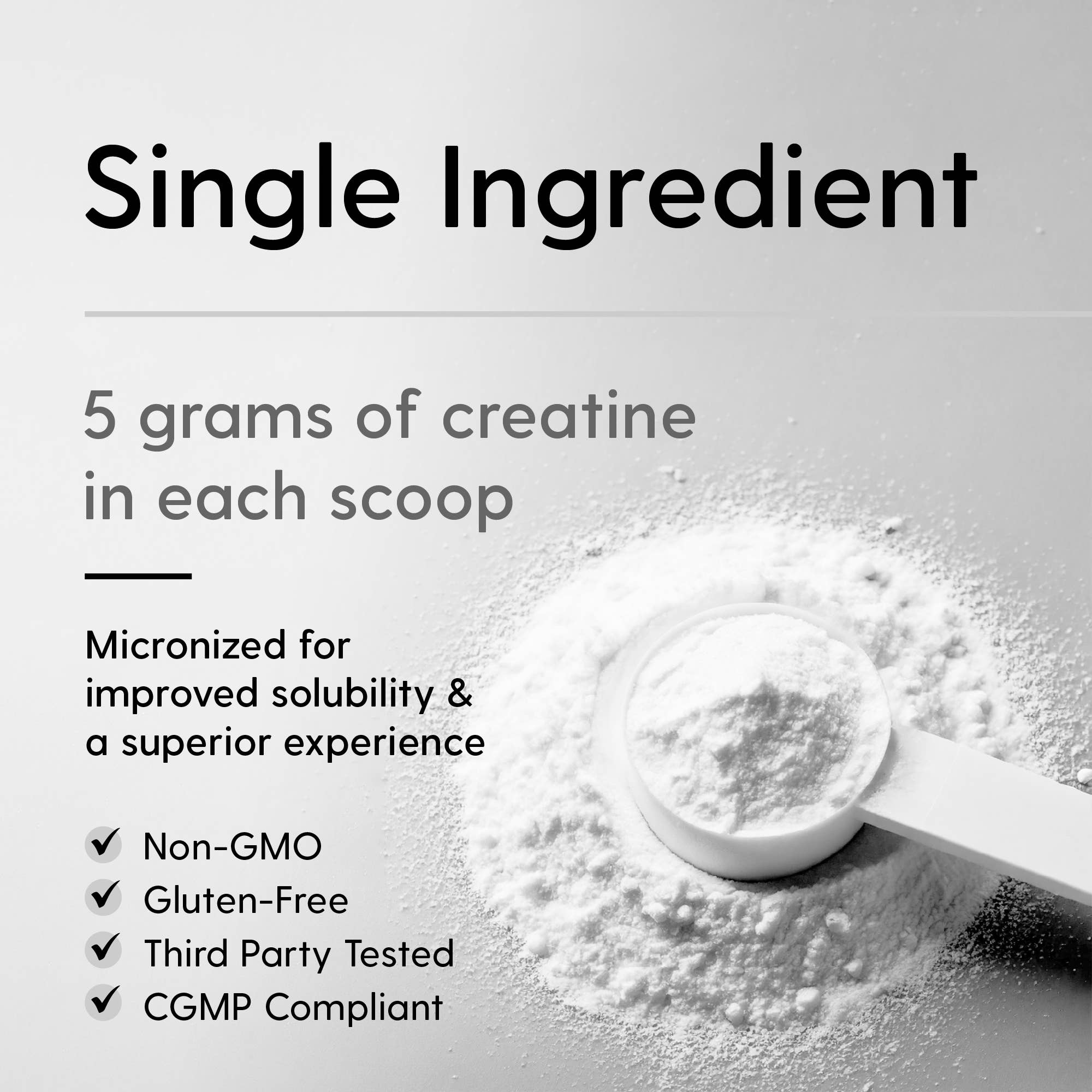 Creatine Monohydrate Powder Unflavored - 17.6 oz (500g)