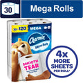 Charmin Ultra Soft Smooth Tear